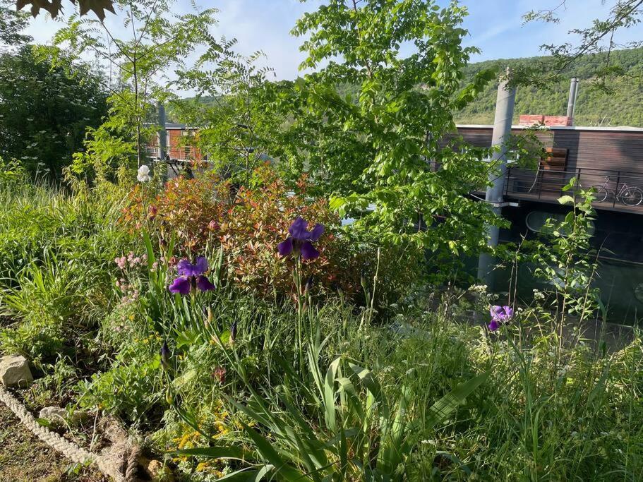 Maison Fleurs De Lys, Climatisee, Wifi Et Parking Privee Gratuit, Lave-Linge, Vernon Giverny Exterior photo